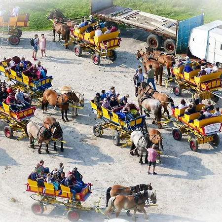 公寓 Strandhochhaus Sg08 *